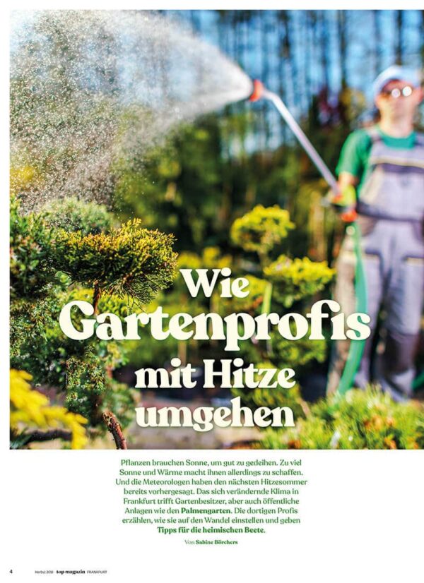 Ausgabe Sommer 2020