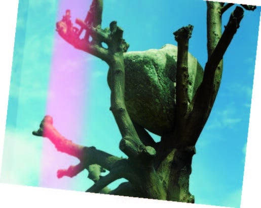 Einmal Baum mit allem!