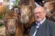 Zoodirektor Prof. Dr. Manfred Niekisch mit Trampeltieren