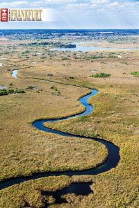 Das Okavango Delta - Wunder des Lebens