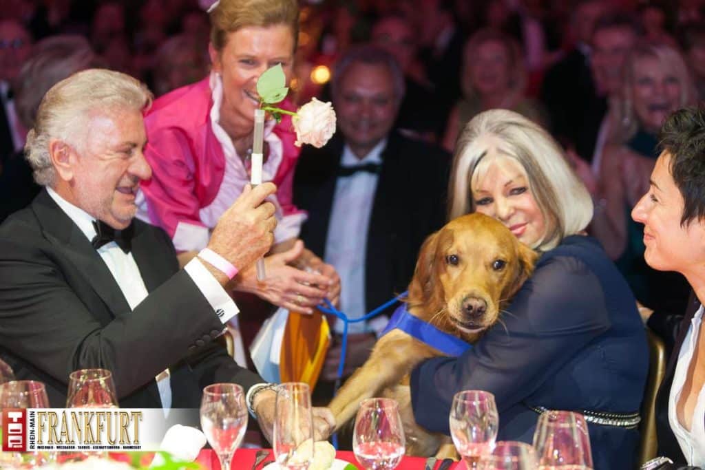 Ehrung für Mäzenin Dr. Dr. hc Manuela Schmidt - Ehrenpatenhund Querida überreicht eine Rose und begeistert damit alle Gäste.