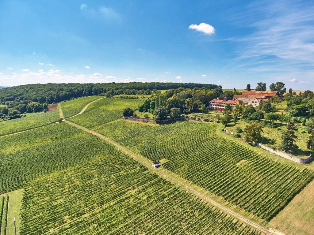 Schloss Westerhaus in Ingelheim gilt als eines der großen Prestige-Weingüter in Rheinhessen