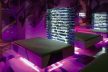 Cocoon Club 6