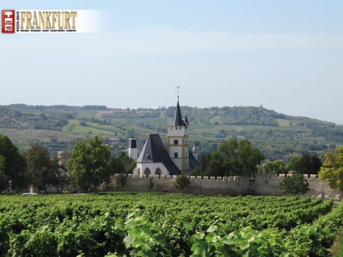Weingut Dautermann