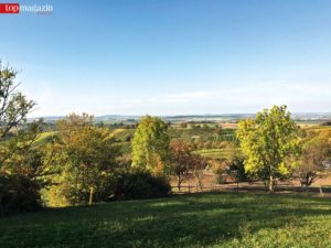 Blick von der Burg Ravensburg