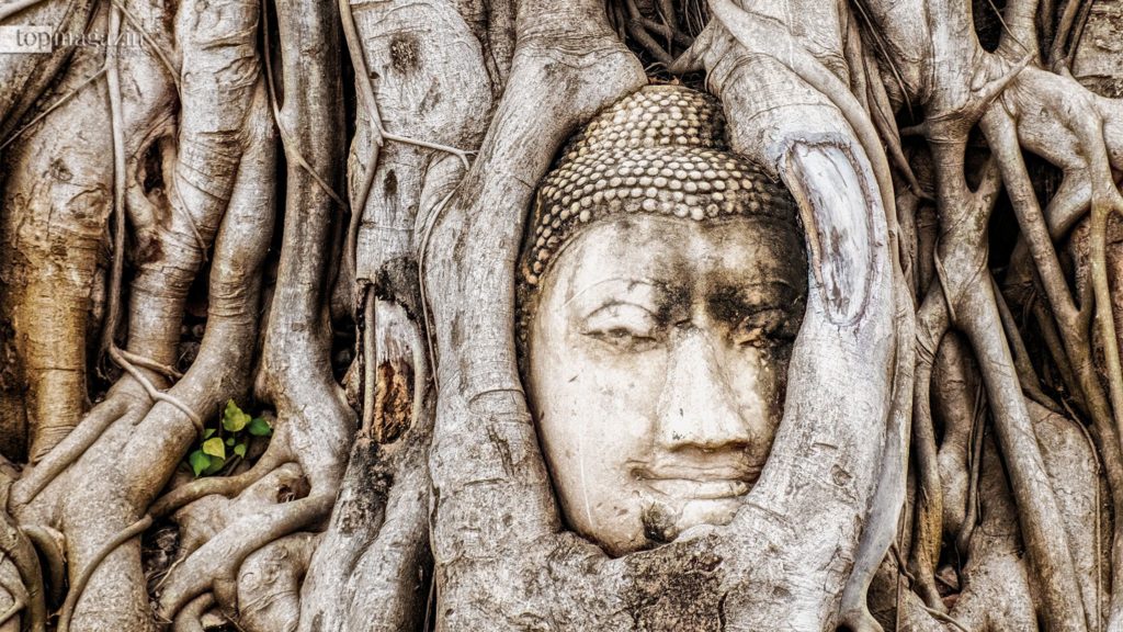 Der berühmte Buddha Kopf in Wat Mahathat