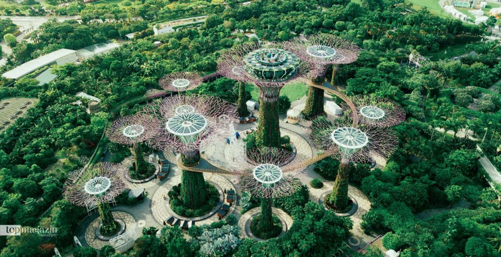 Der gigantische Stadtpark bietet einen beeindruckenden Ausblick. Das Design ist von einer Orchidee inspiriert und ähnelt Singapurs Nationalblume, Vanda „Miss Joaquim“. Die riesigen Supertrees schaffen einen Wald in den Wolken.