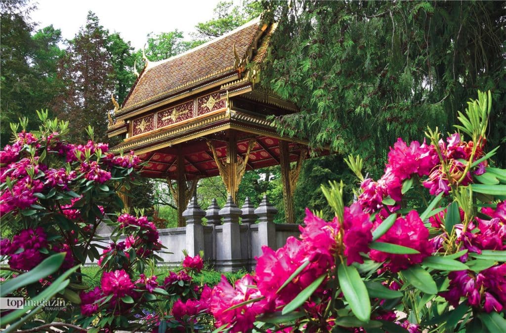Thai-Sala im Kurpark Bad Homburg