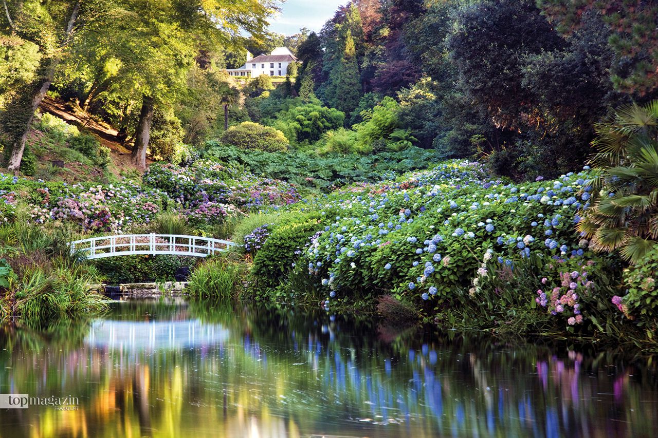 Trebah Garden in Cornwall: Auch bekannt als das Haus an der Bucht in einem subtropischen Gartenparadies am Helford River ist der kornische Schluchtgarten ein Wald aus Rhododendren, Magnolien, Kamellien und weiteren exotischen Blumen und bietet so ganzjährig ein zauberhaftes Farbspektakel. Trebah Garden in Cornwall: Auch bekannt als das Haus an der Bucht in einem subtropischen Gartenparadies am Helford River ist der kornische Schluchtgarten ein Wald aus Rhododendren, Magnolien, Kamellien und weiteren exotischen Blumen und bietet so ganzjährig ein zauberhaftes Farbspektakel.