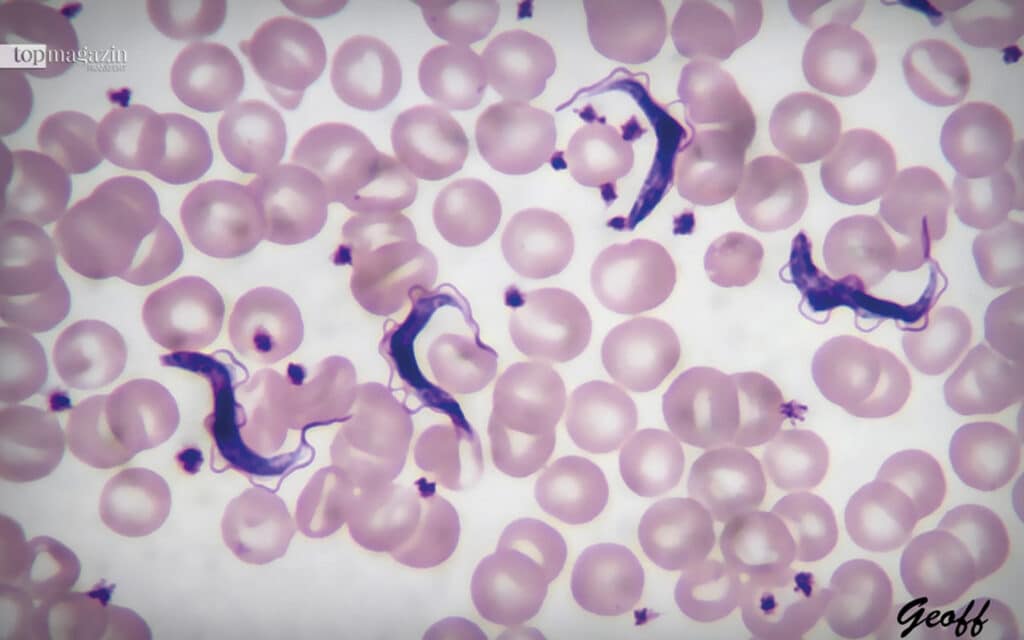 Helferteams gehen in die Dörfer, untersuchen die Bewohner