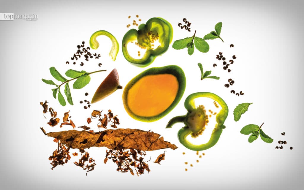 Die Leitaromen des Sauvinac