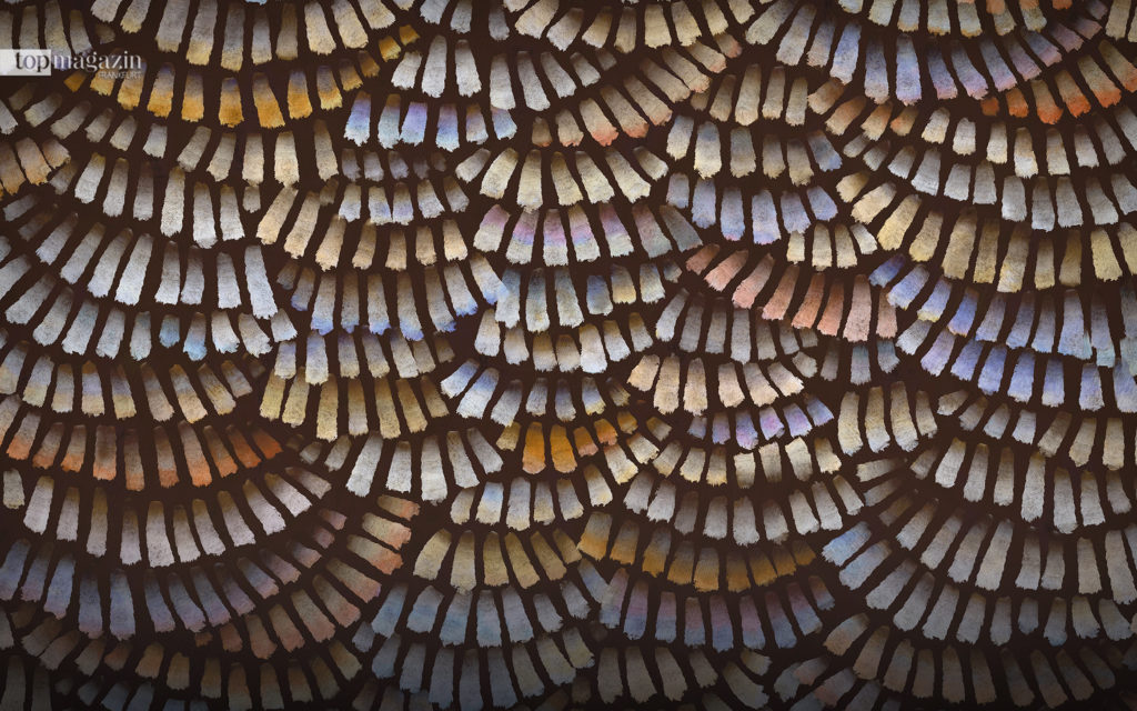 Moooi Wallcovering: Dandeliom Cranes Tapete