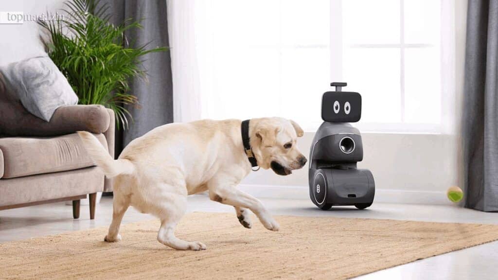 Der smarte Hundesitter Oro Buddy von Ogmen