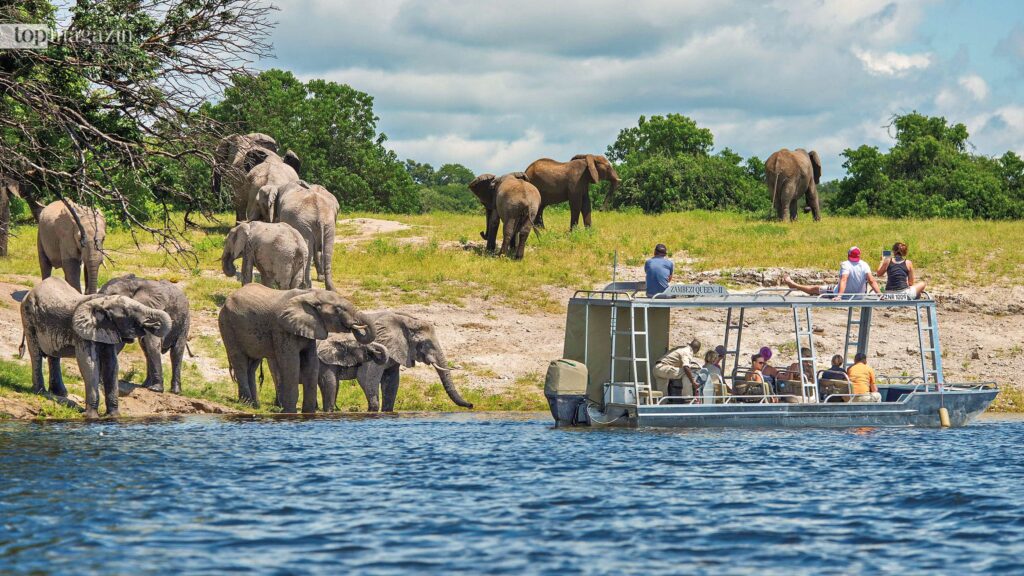 Vom Beiboot direkt zur Elefantentränke: So nah kommt kein Safari-Jeep (Foto: Mantis Collection)