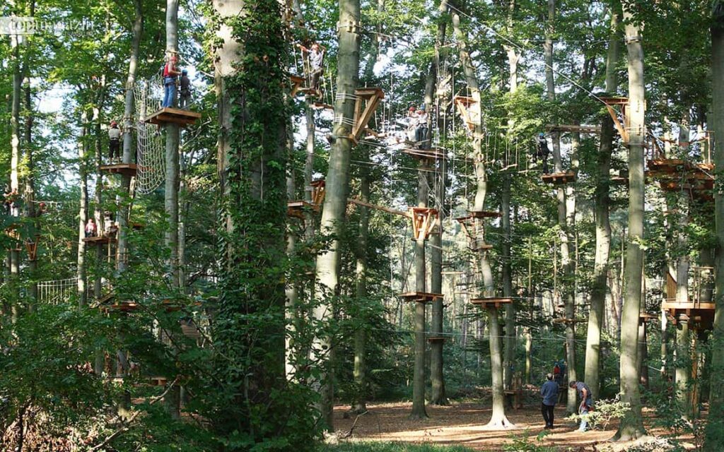 Der Kletterwald in Viernheim ist die perfekte Tagesaktivität für Adrenalin-Junkies (Foto: Kletterwald Viernheim)
