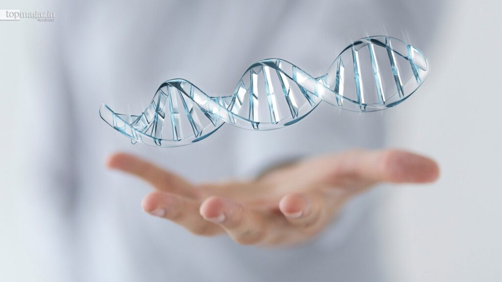 Ein Arzt hält eine leuchtende, digitale 3D-Darstellung einer DNA-Doppelhelix schwebend über seiner Hand.