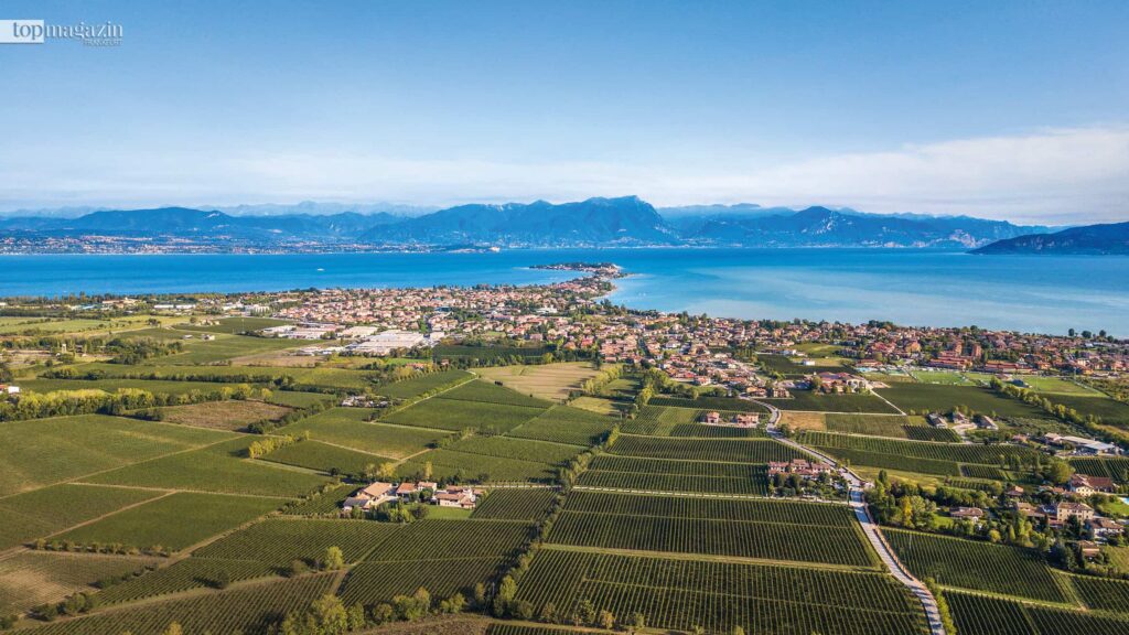 Luftaufnahme der Weinberge für Lugana Wein südlich der Halbinsel Sirmione am Gardasee.