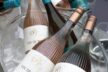 Weissweinspezialitaeten aus dem Rheingau vom familiengefuehrten Weingut Koegler