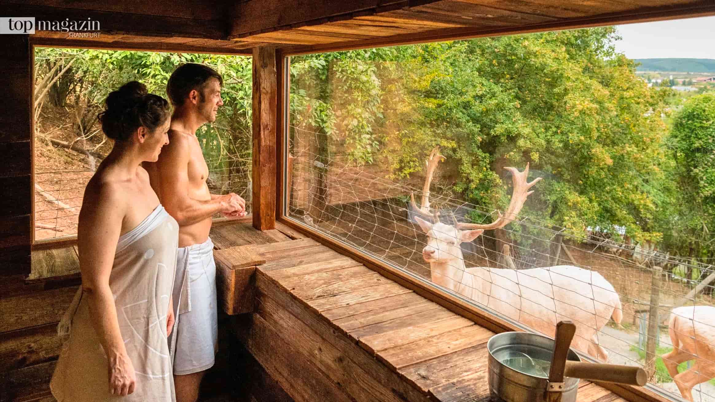 Paar in Handtüchern blickt aus dem Fenster der Hubertus-Waldsauna auf weiße Hirsche im Wildgehege