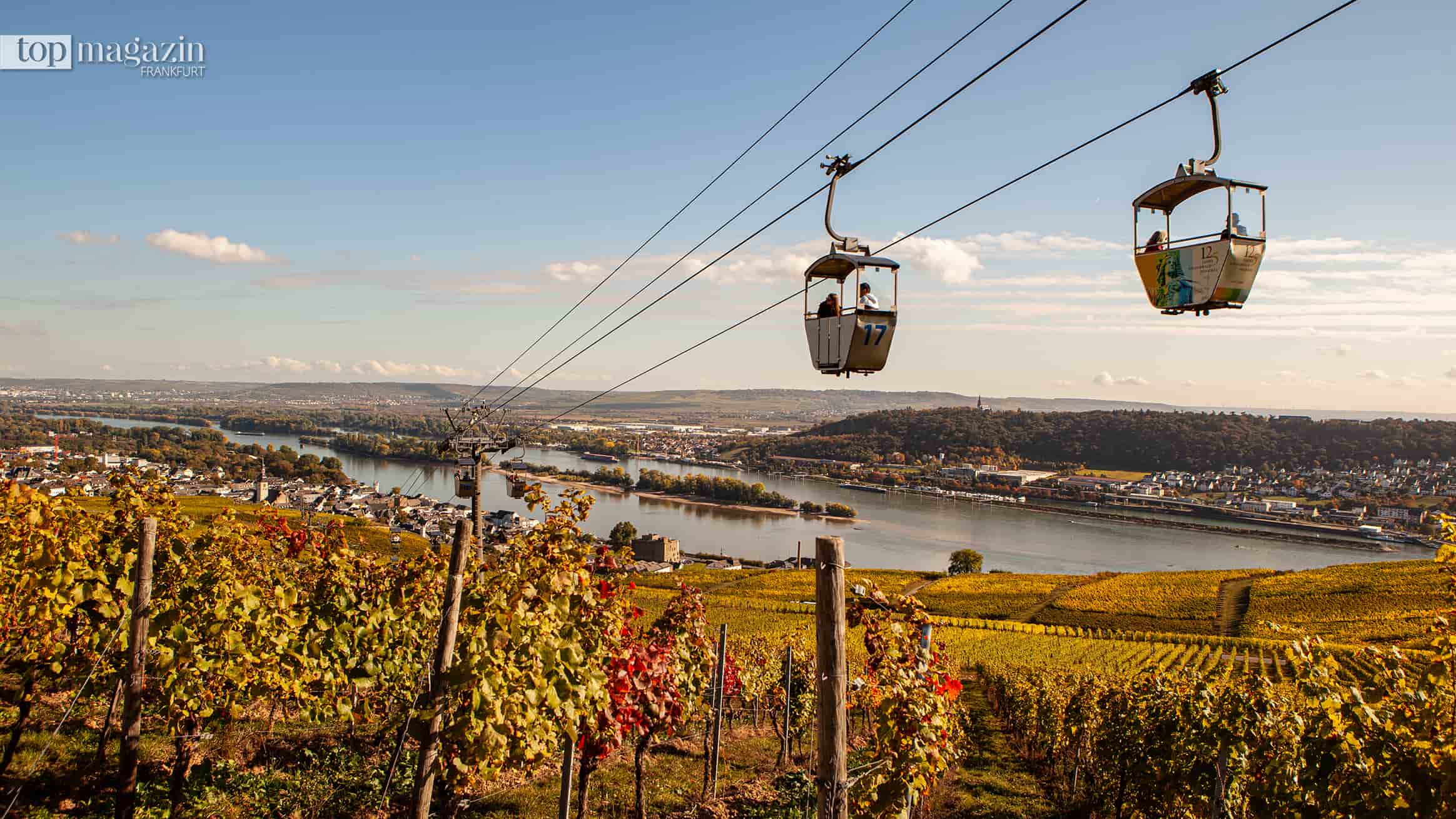 Zwei Gondeln der Seilbahn schweben über herbstliche Weinberge bei Rüdesheim, im Hintergrund der Rhein