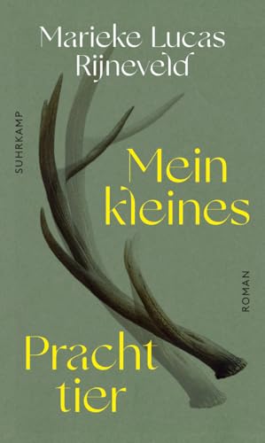 Mein kleines Prachttier: Roman